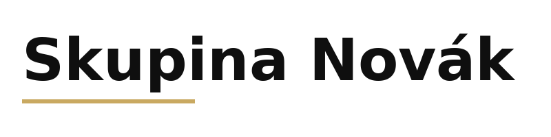 Skupina Novák logo